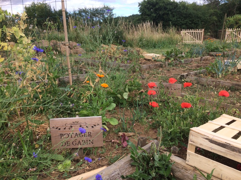 Bienvenue au Jardin des Prés Verts : Et si on cultivait notre émerveillement pour le vivant&nbsp;?